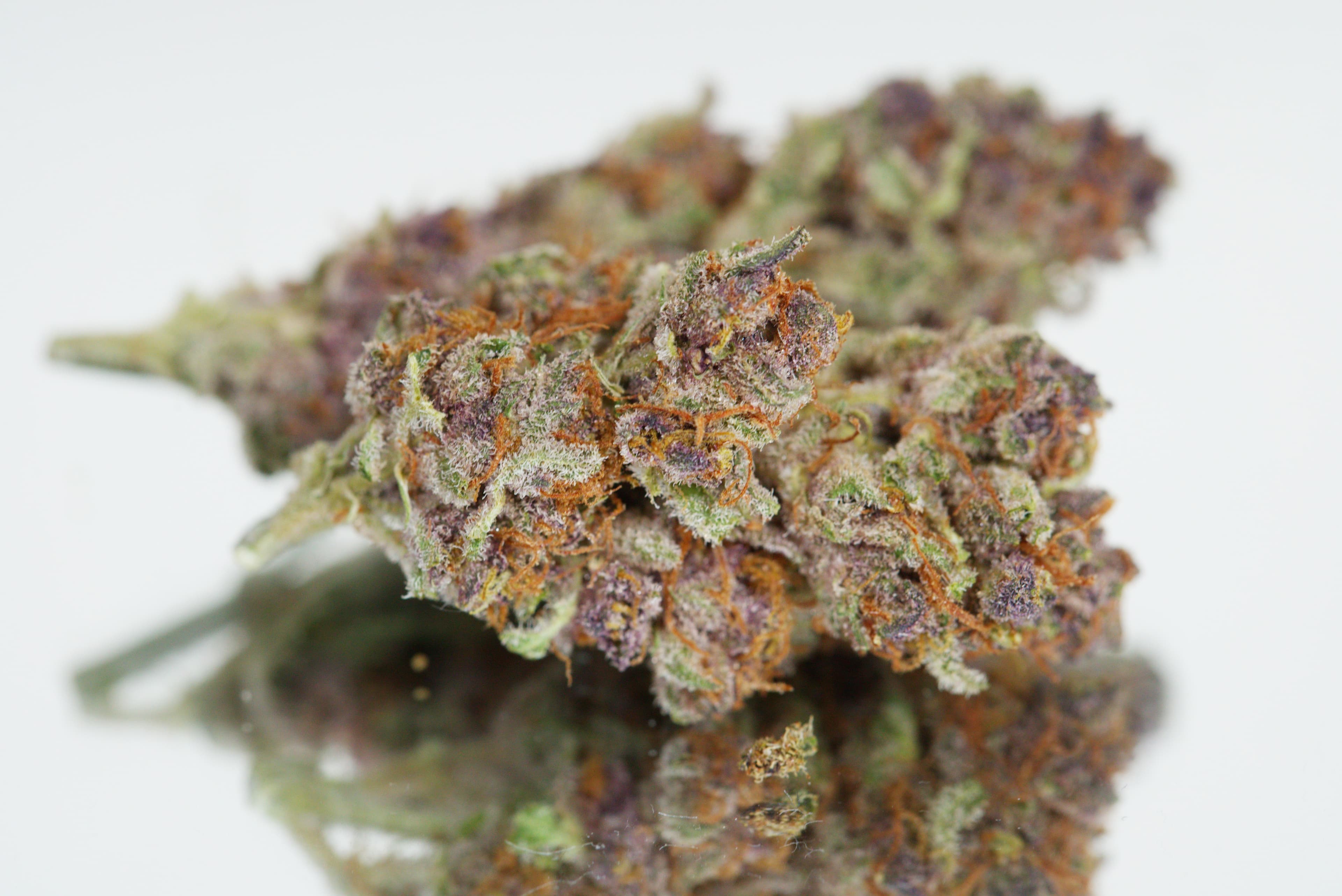 Purple Punch cannabis strain